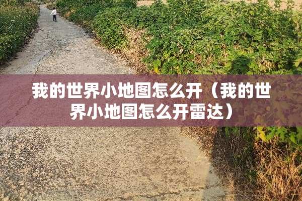 我的世界小地图怎么开（我的世界小地图怎么开雷达）