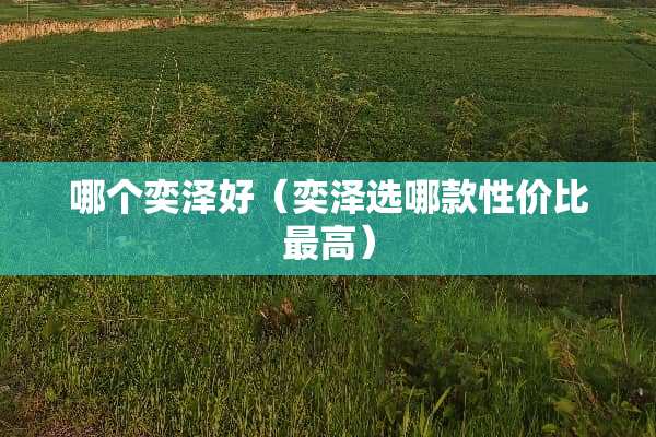 哪个奕泽好（奕泽选哪款性价比最高）