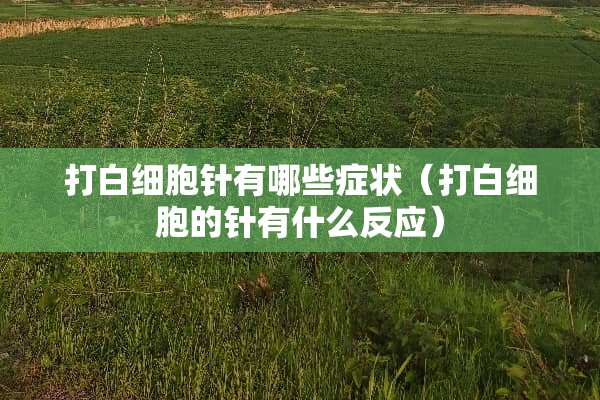 打白细胞针有哪些症状（打白细胞的针有什么反应）