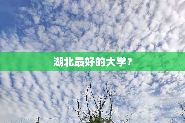 湖北最好的大学？