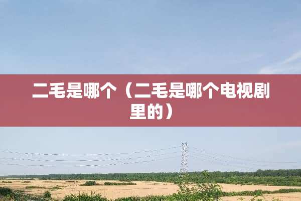 二毛是哪个（二毛是哪个电视剧里的）
