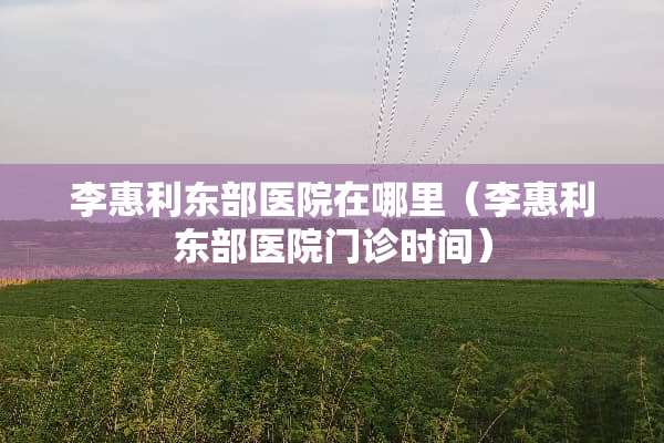 李惠利东部医院在哪里（李惠利东部医院门诊时间）