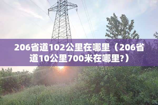 206省道102公里在哪里（206省道10公里700米在哪里?）