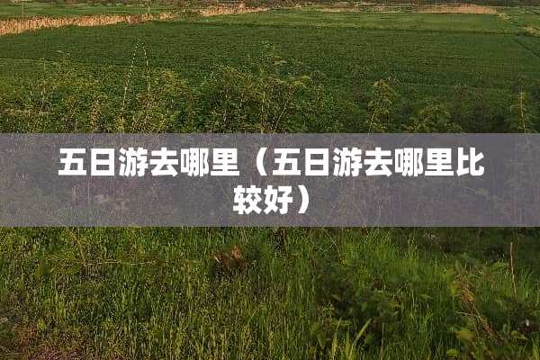 五日游去哪里（五日游去哪里比较好）