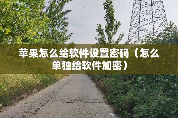 苹果怎么给软件设置密码（怎么单独给软件加密）