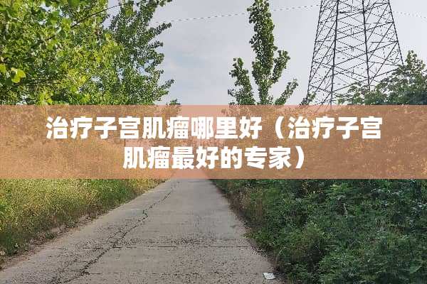 治疗子宫肌瘤哪里好（治疗子宫肌瘤最好的专家）