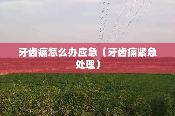 牙齿痛怎么办应急（牙齿痛紧急处理）