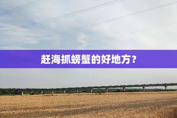 赶海抓螃蟹的好地方？