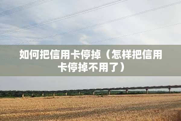 如何把***停掉（怎样把***停掉不用了）