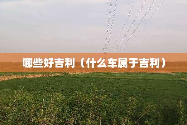 哪些好吉利（什么车属于吉利）