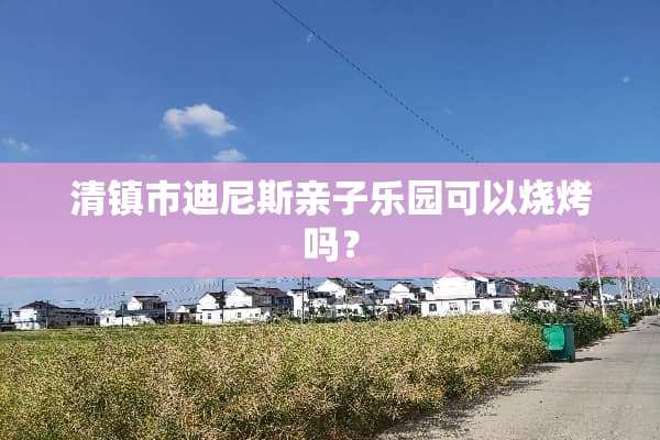 清镇市迪尼斯亲子乐园可以烧烤吗？