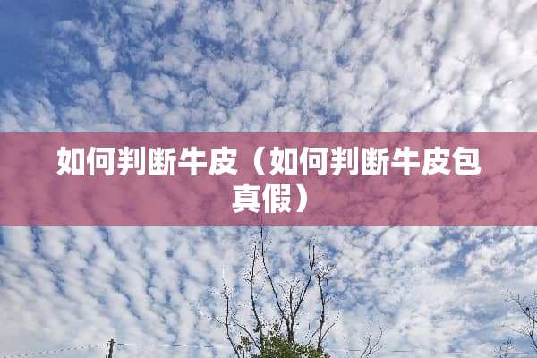 如何判断牛皮（如何判断牛皮包真假）