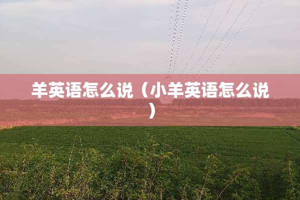 羊英语怎么说（小羊英语怎么说）