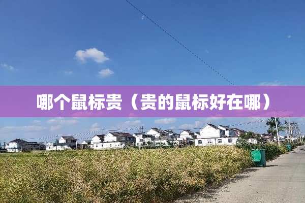 哪个鼠标贵（贵的鼠标好在哪）