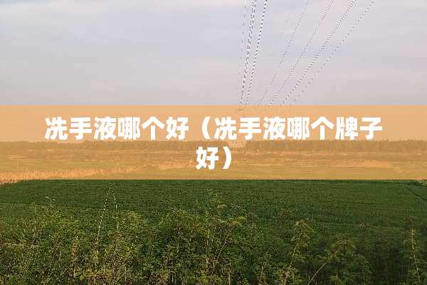 冼手液哪个好（冼手液哪个牌子好）