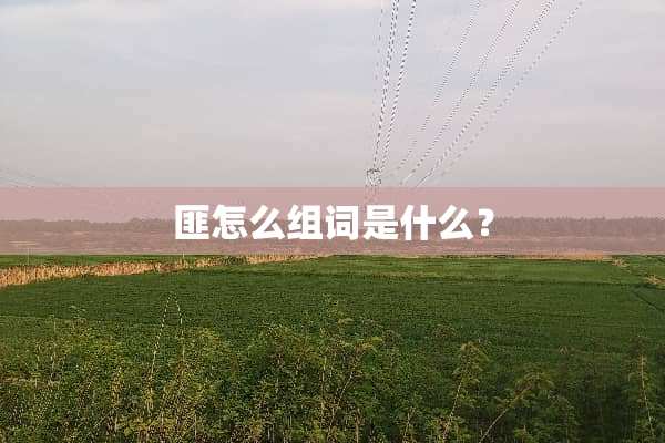 匪怎么组词是什么？