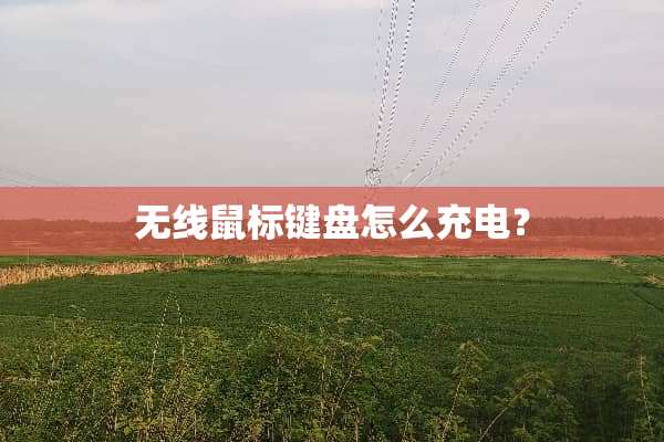 无线鼠标键盘怎么充电？