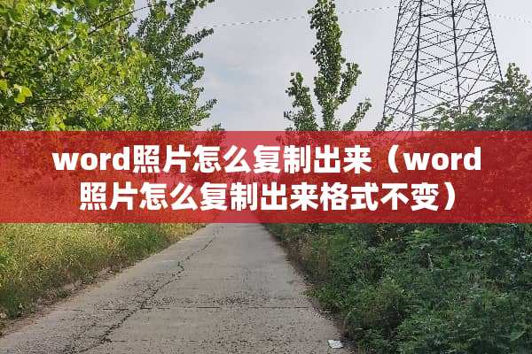 word照片怎么复制出来（word照片怎么复制出来格式不变）