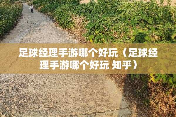 **经理手游哪个好玩（**经理手游哪个好玩 知乎）