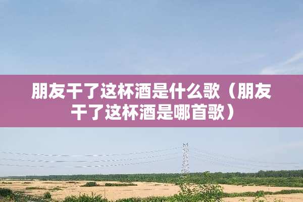 朋友干了这杯酒是什么歌（朋友干了这杯酒是哪首歌）