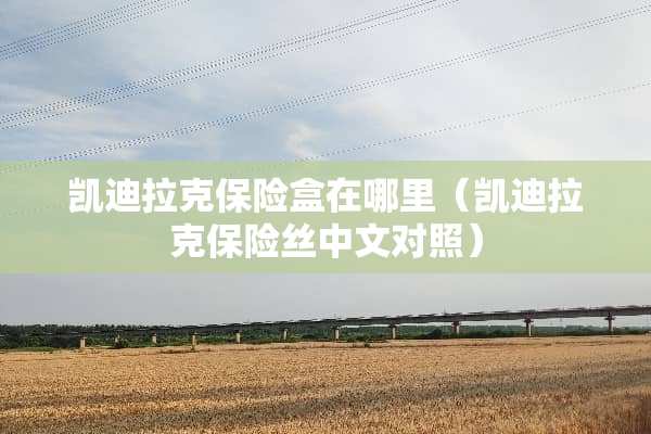 凯迪拉克保险盒在哪里（凯迪拉克保险丝中文对照）