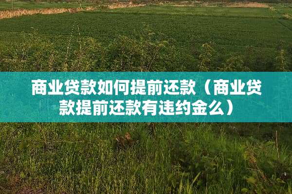 商业贷款如何提前还款（商业贷款提前还款有违约金么）