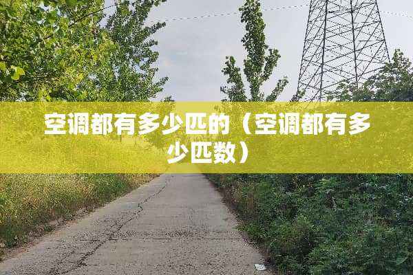 空调都有多少匹的（空调都有多少匹数）