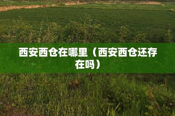 西安西仓在哪里（西安西仓还存在吗）