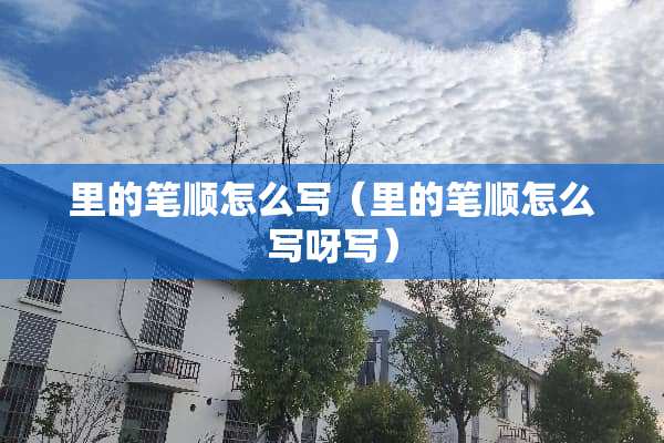里的笔顺怎么写（里的笔顺怎么写呀写）