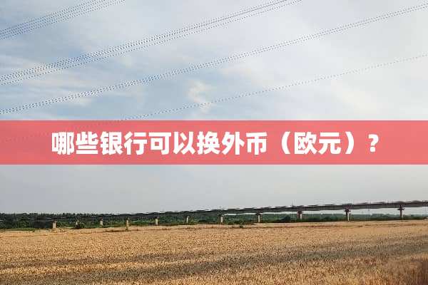 哪些银行可以换外币（欧元）？