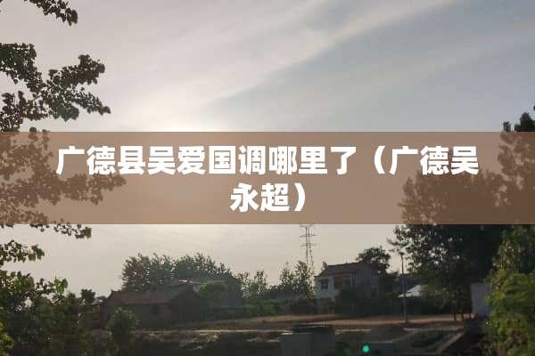 广德县吴爱国调哪里了（广德吴永超）