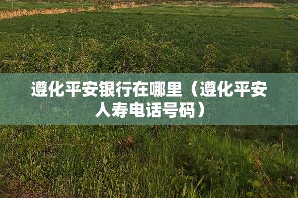 遵化平安银行在哪里（遵化平安人寿电话号码）