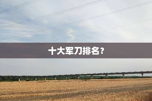 十大**排名？