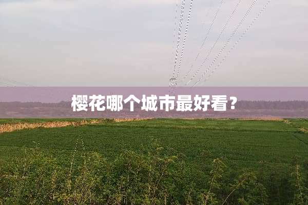 樱花哪个城市最好看？