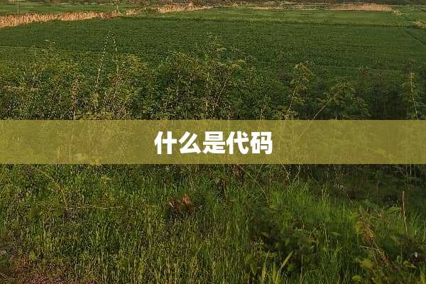 什么是代码
