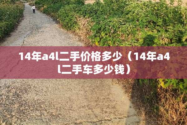 14年a4l二手价格多少（14年a4l二手车多少钱）