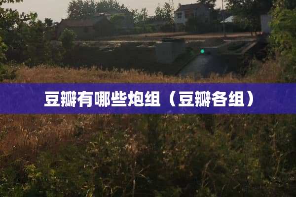 豆瓣有哪些*组（豆瓣各组）