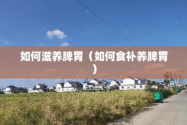 如何滋养脾胃（如何食补养脾胃）