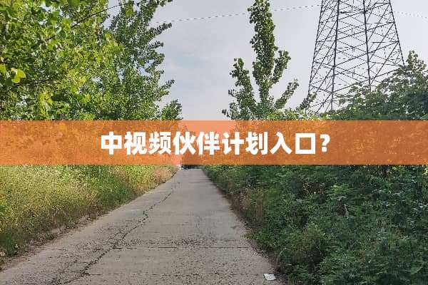 中视频伙伴计划入口？