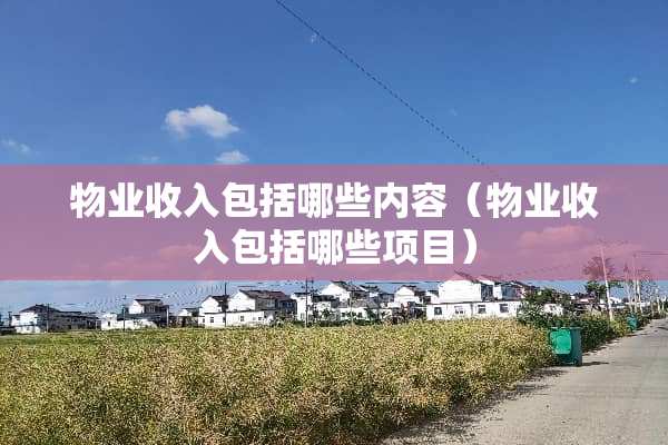 物业收入包括哪些内容（物业收入包括哪些项目）