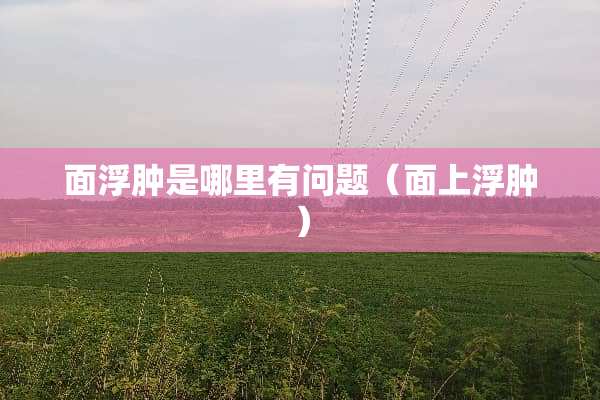 面浮肿是哪里有问题（面上浮肿）