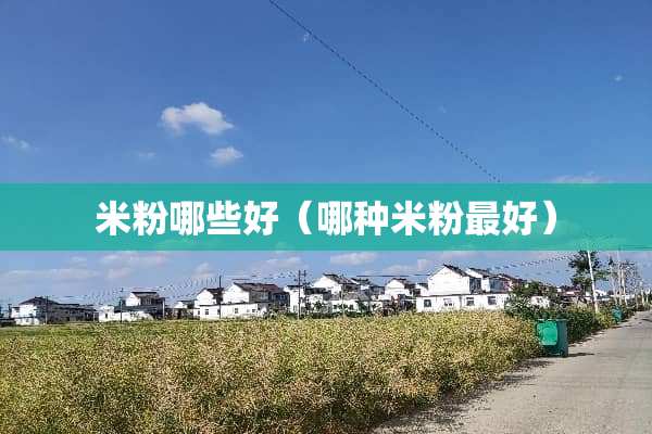 米粉哪些好（哪种米粉最好）