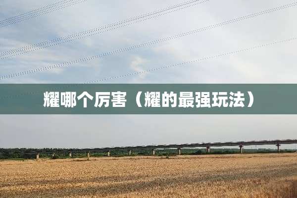 耀哪个厉害（耀的最强玩法）