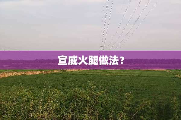 宣威火腿做法？
