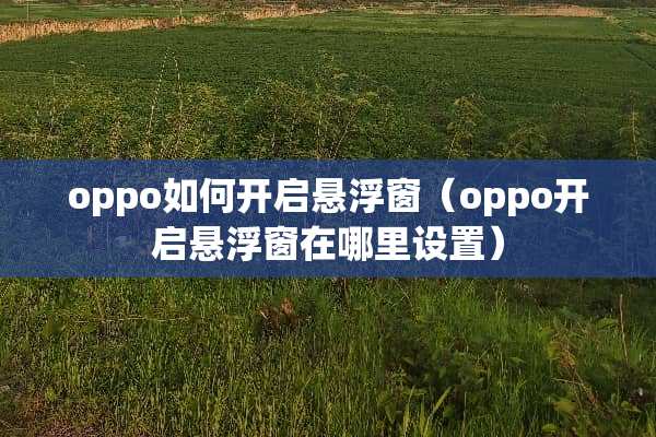 oppo如何开启悬浮窗（oppo开启悬浮窗在哪里设置）