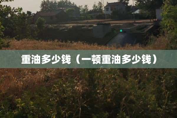 重油多少钱（一顿重油多少钱）