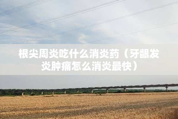 根尖周炎吃什么消炎药（牙龈发炎肿痛怎么消炎最快）
