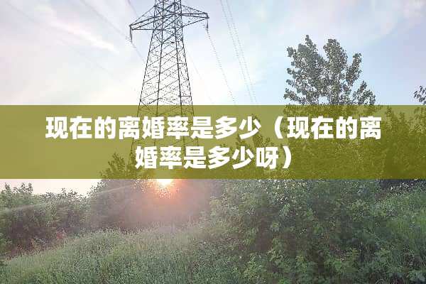 现在的**率是多少（现在的**率是多少呀）