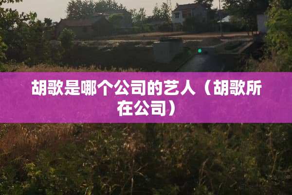 胡歌是哪个公司的艺人（胡歌所在公司）