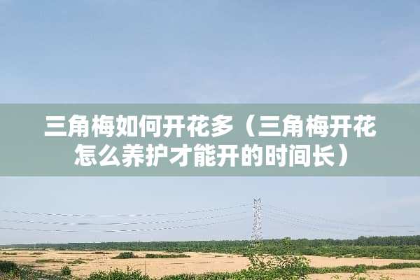 三角梅如何开花多（三角梅开花怎么养护才能开的时间长）